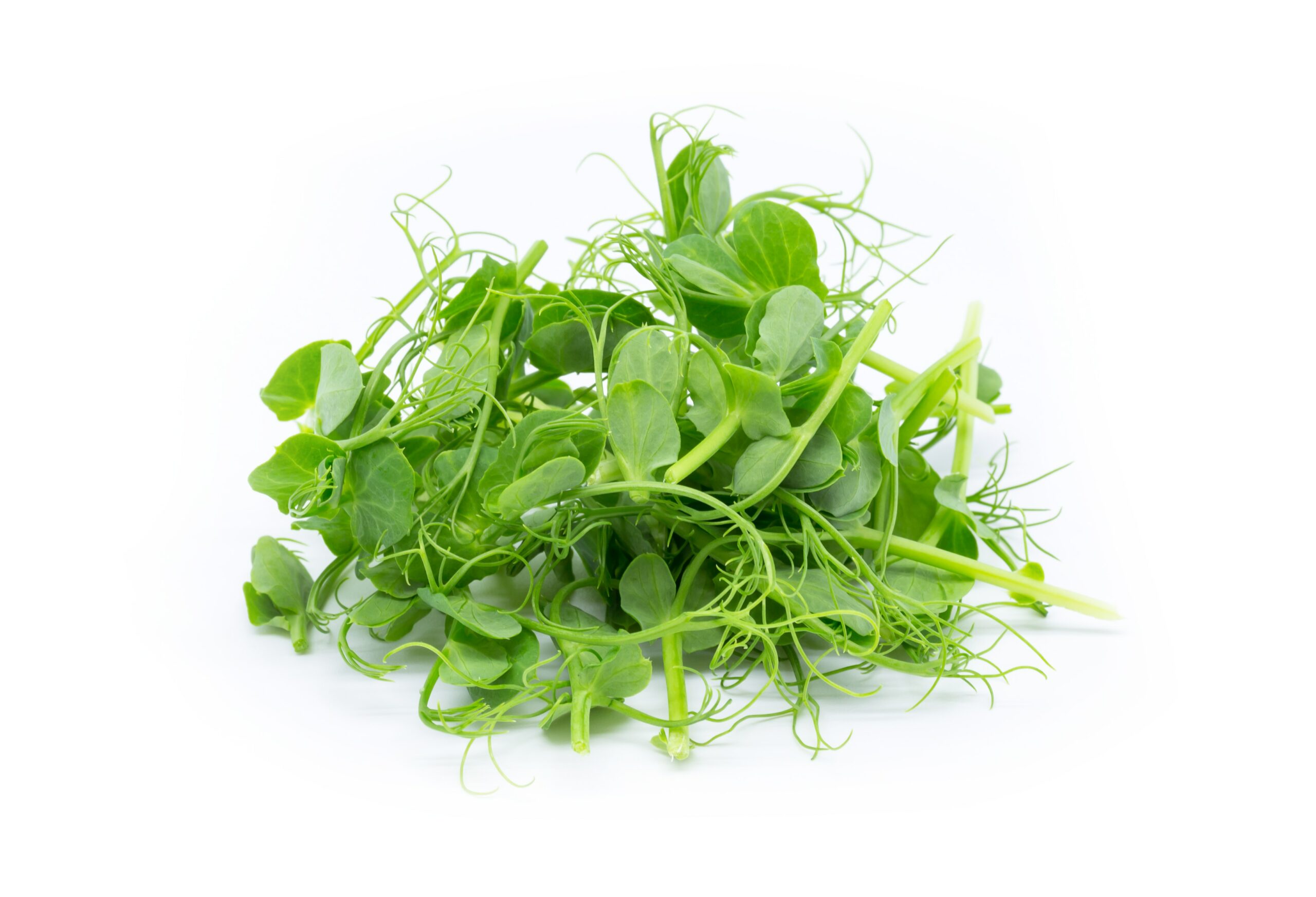 Je, Unafahamu Microgreens?