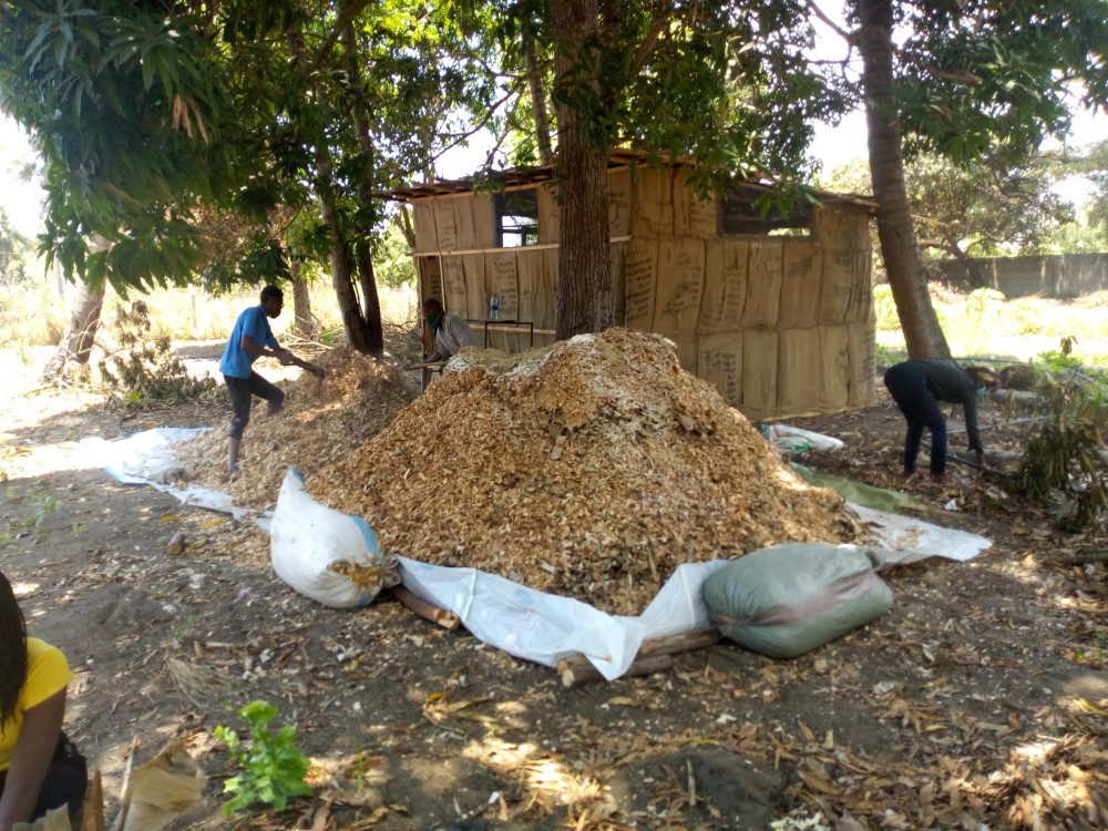 Makosa Mawili ya Kuepuka kwenye Kilimo cha Uyoga